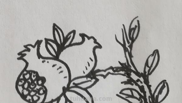 石榴怎么画简笔画图片 石榴的简笔画怎么画，一看步骤就会画？