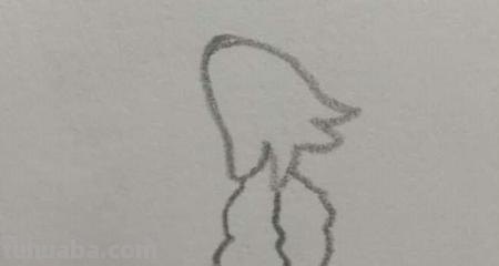 石榴怎么画简笔画图片 石榴的简笔画怎么画，一看步骤就会画？