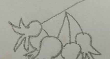 石榴怎么画简笔画图片 石榴的简笔画怎么画，一看步骤就会画？