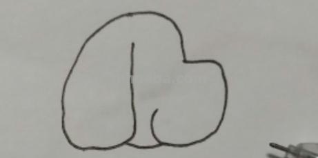 小狗的头怎么画简笔画 小狗简笔画怎么画？