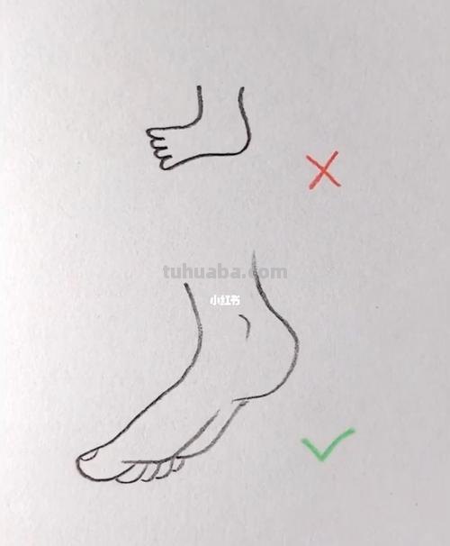 脚怎么画简笔画图片 脚该怎么画?