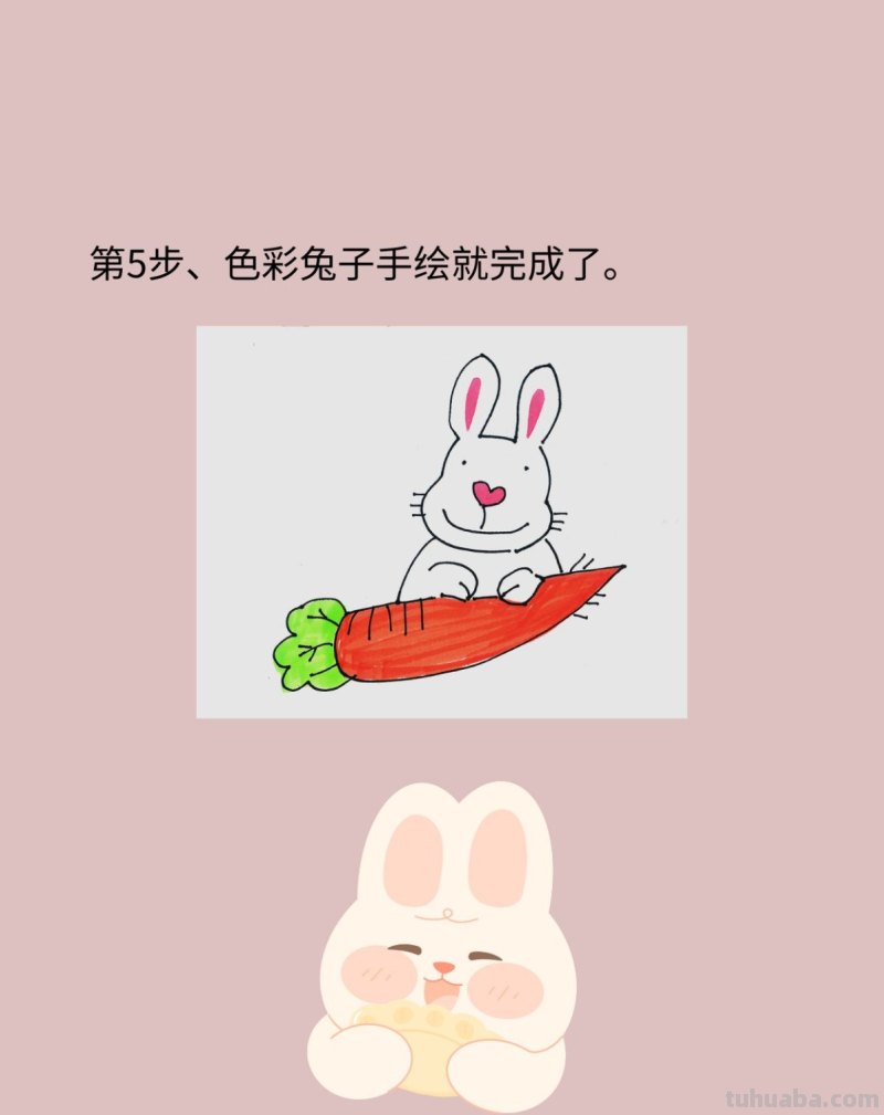 吃胡萝卜的兔八哥简笔画