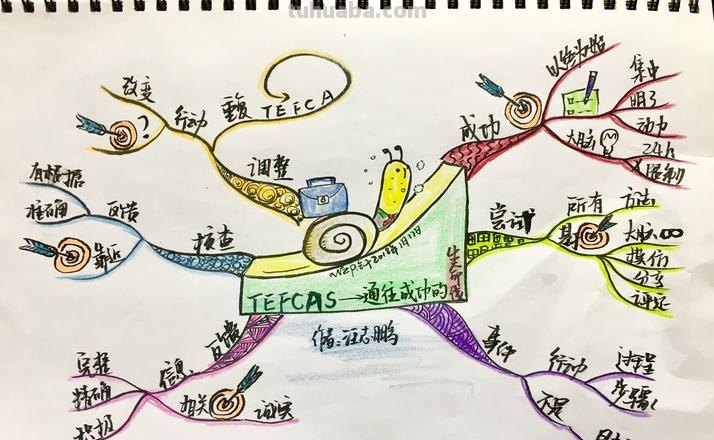 积木用思维导图怎么画 怎样画思维导图?
