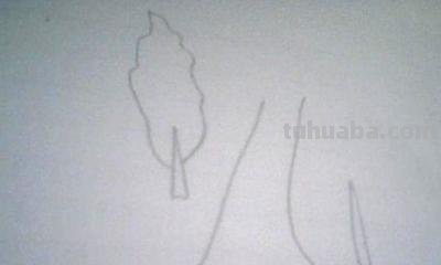 公路怎么画简笔画图片 简笔画公路的画法？