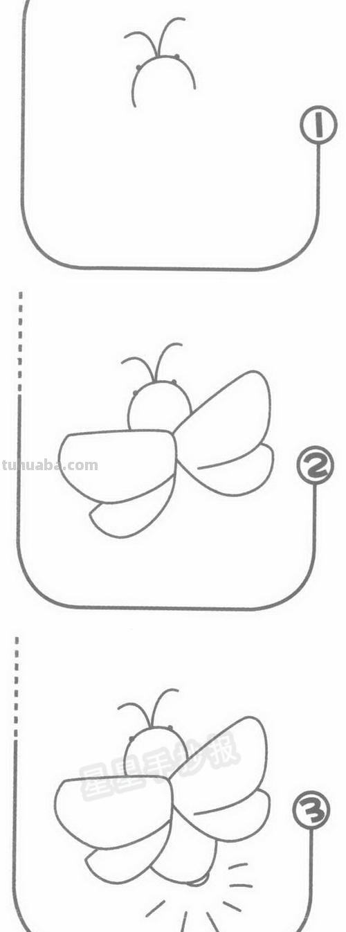 萤火虫怎么画简笔画 如何画萤火虫简笔画？