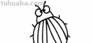 萤火虫怎么画简笔画 如何画萤火虫简笔画？