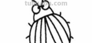 萤火虫怎么画简笔画 如何画萤火虫简笔画？