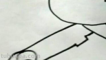萤火虫怎么画简笔画 如何画萤火虫简笔画？
