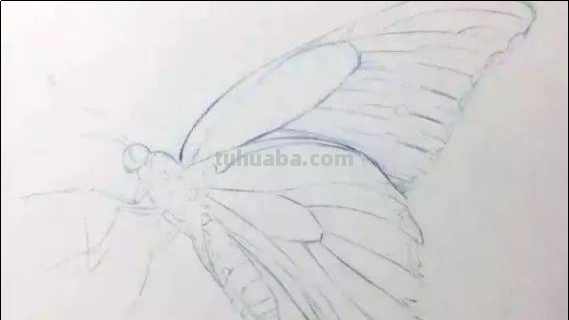 怎么画蝴蝶最漂亮简单