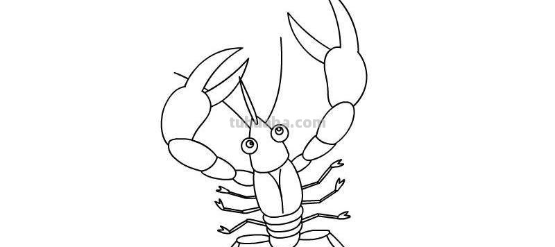 简笔画小龙虾怎么画 龙虾简笔画的画法?