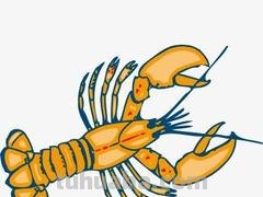 简笔画小龙虾怎么画 龙虾简笔画的画法？