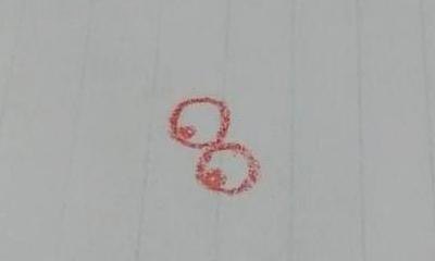 简笔画小龙虾怎么画 龙虾简笔画的画法？