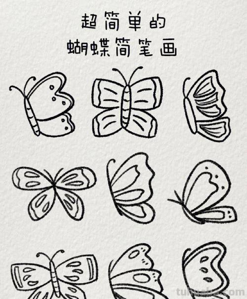 漂亮又简单的蝴蝶画法 漂亮又简单的蝴蝶画法图片