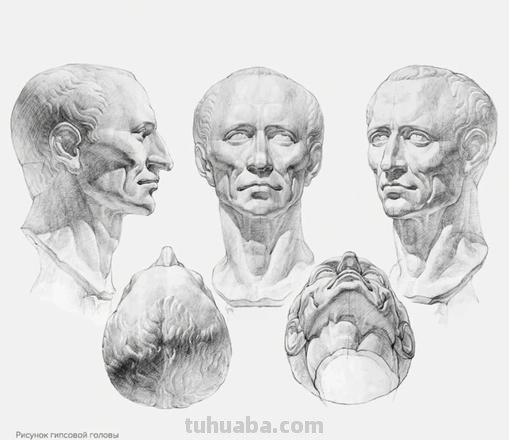 石膏头像素描 石膏头像素描图片