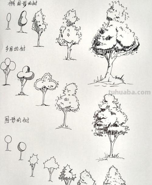 精微速写树 树木速写技法表现?