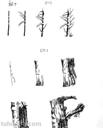 精微速写树 树木速写技法表现?