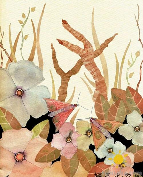 跟着画家画水彩,植物与昆虫唯美插画,大自然的和谐之美