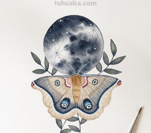 跟着画家画水彩,植物与昆虫唯美插画,大自然的和谐之美