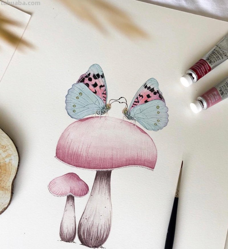 跟着画家画水彩，植物与昆虫唯美插画，大自然的和谐之美