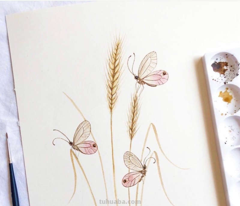 跟着画家画水彩，植物与昆虫唯美插画，大自然的和谐之美