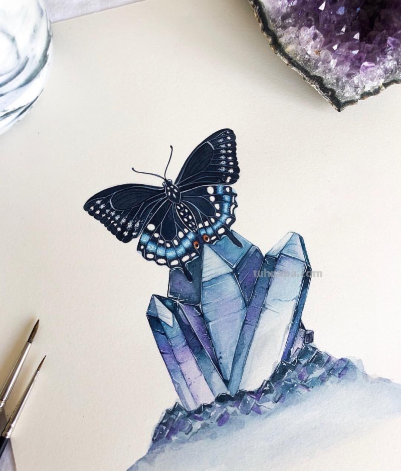 跟着画家画水彩，植物与昆虫唯美插画，大自然的和谐之美