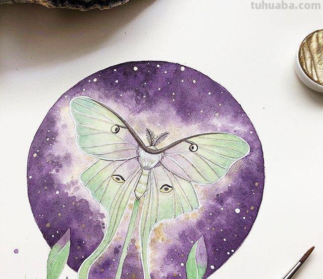 跟着画家画水彩，植物与昆虫唯美插画，大自然的和谐之美