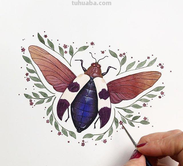 跟着画家画水彩，植物与昆虫唯美插画，大自然的和谐之美