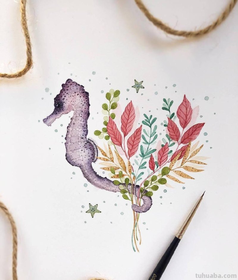 跟着画家画水彩，植物与昆虫唯美插画，大自然的和谐之美