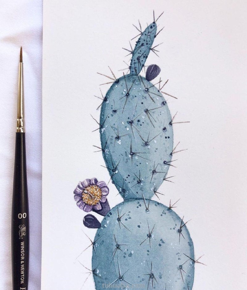 跟着画家画水彩，植物与昆虫唯美插画，大自然的和谐之美