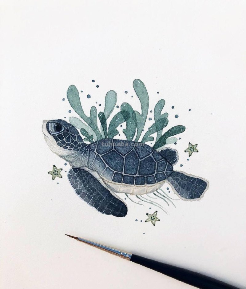 跟着画家画水彩，植物与昆虫唯美插画，大自然的和谐之美