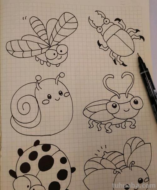 5种昆虫育儿简笔画，亲子绘画素材，2分钟就学会