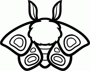 5种昆虫育儿简笔画，亲子绘画素材，2分钟就学会