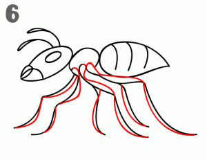 5种昆虫育儿简笔画，亲子绘画素材，2分钟就学会