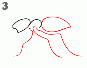 5种昆虫育儿简笔画，亲子绘画素材，2分钟就学会