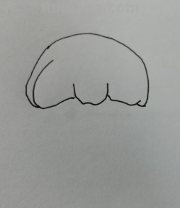 100种女生可爱简笔画