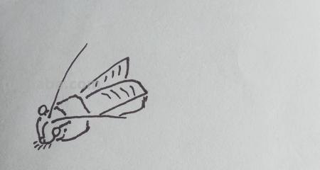 昆虫怎么画简笔画图片 三年级昆虫绘画简单漂亮？
