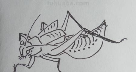 昆虫怎么画简笔画图片 三年级昆虫绘画简单漂亮？