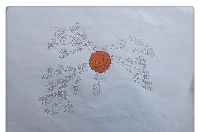 篮球社会思维导图怎么画 怎样画思维导图?