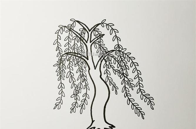 怎么画柳树简笔画图片 简笔画柳树怎么画？