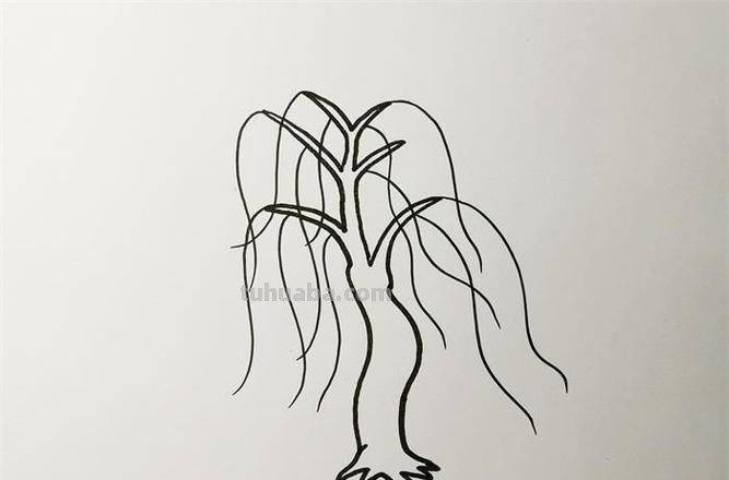 怎么画柳树简笔画图片 简笔画柳树怎么画？