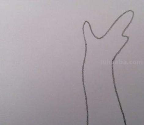 怎么画柳树简笔画图片 简笔画柳树怎么画？