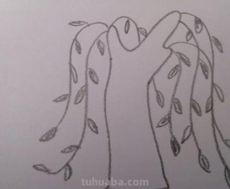怎么画柳树简笔画图片 简笔画柳树怎么画？