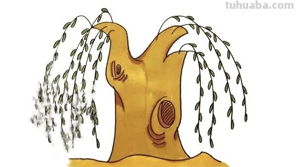 怎么画柳树简笔画图片 简笔画柳树怎么画？