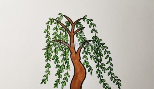 怎么画柳树简笔画图片 简笔画柳树怎么画？