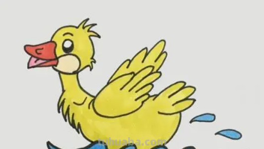 鸭子简笔画怎么画