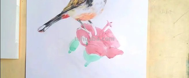 小鸟眼睛怎么画彩铅颜色 鸟语花香彩铅绘画步骤？
