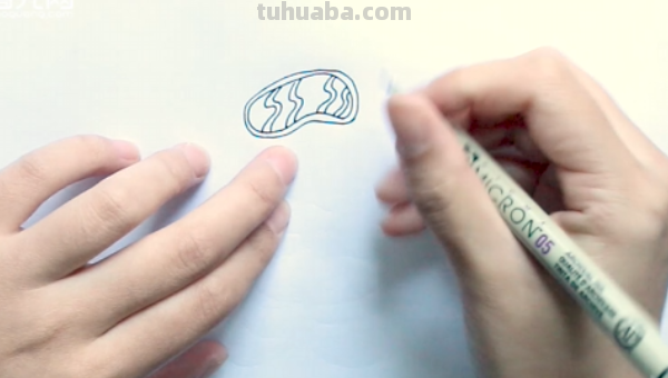 最简单的鸭子怎么画