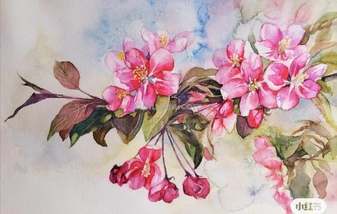 简笔画海棠花怎么画 简笔画之海棠花的画法?