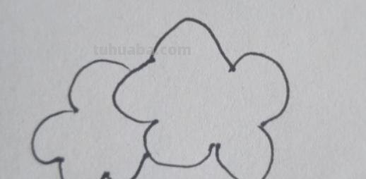简笔画海棠花怎么画 简笔画之海棠花的画法？