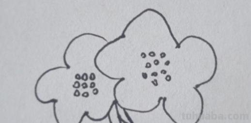简笔画海棠花怎么画 简笔画之海棠花的画法？